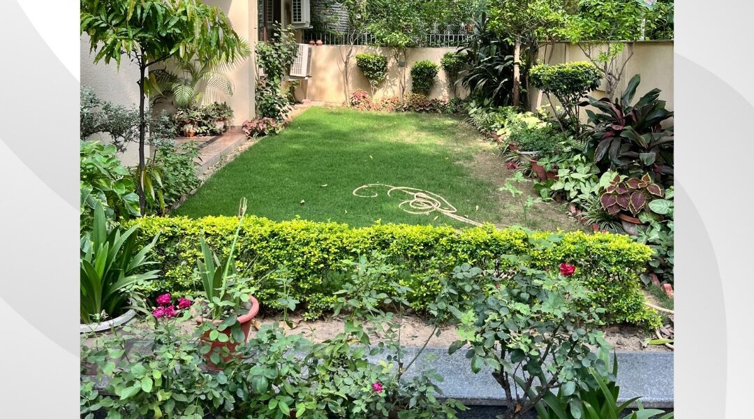 Representative image of luxury South Delhi property – actual images withheld upon owner's request